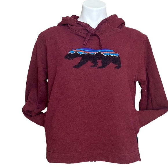 Patagonia Tops - Patagonia Fitz Roy Bear Uprisal Hooded Long Sleeve Sweatshirt, size M